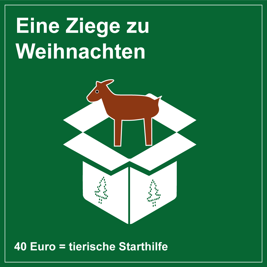 terra_tech-weihnachts_post-geschenkanhaenger-tierische_starthilfe_ostafrika